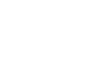 The District